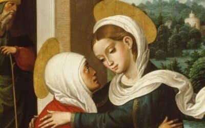 What Does the Visitation of Mary Teach Us?