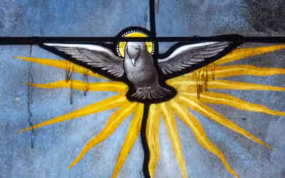 The 12 Fruits of the Holy Spirit