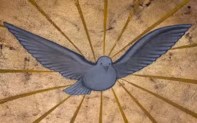 A Prayer to the Holy Spirit for Every Need